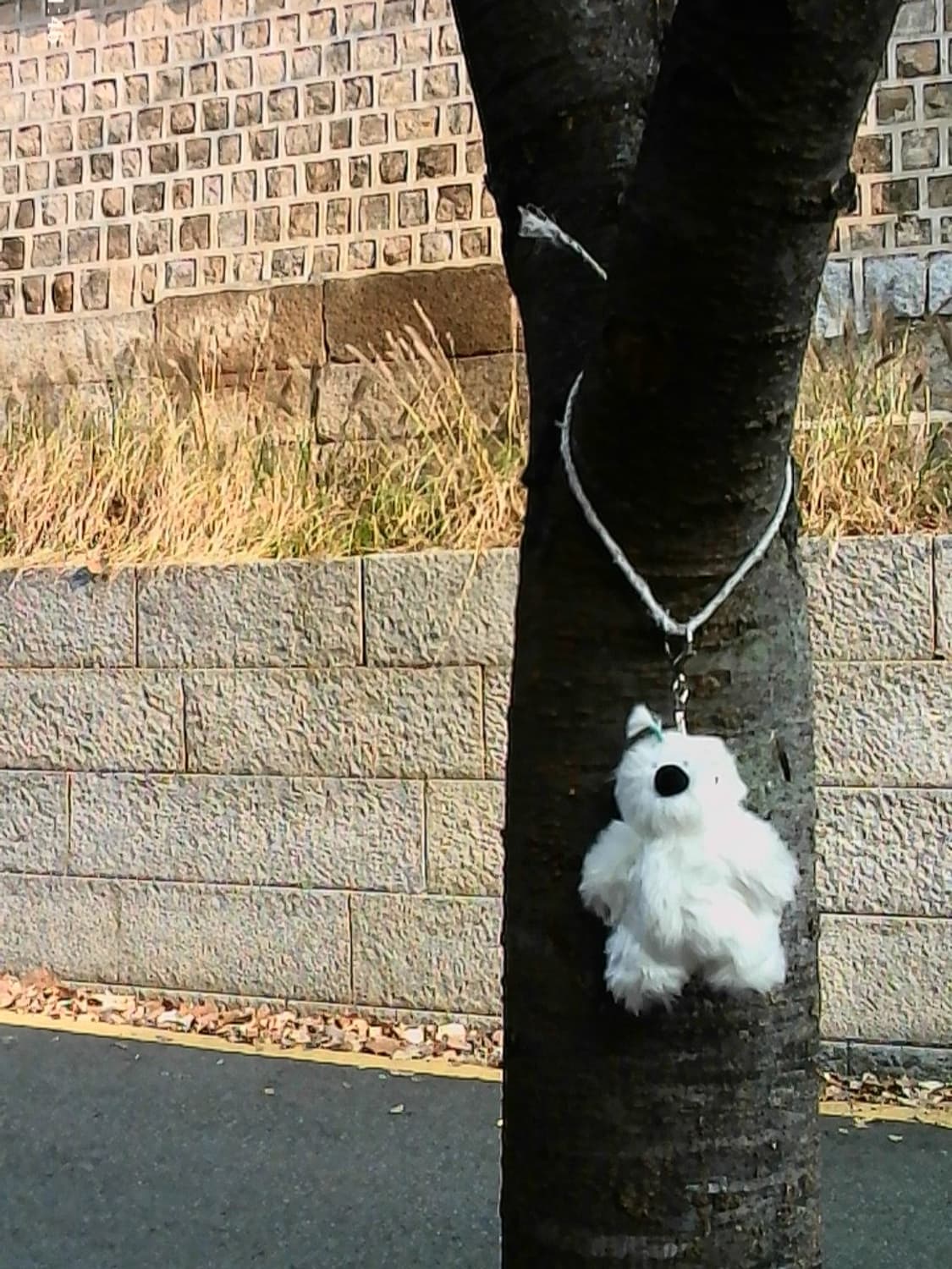 Celebrity Mini Cam Keyring📷✨ 상품이미지3