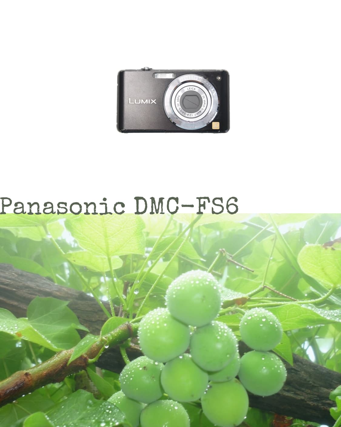 Panasonic DMC-FS6 상품이미지1