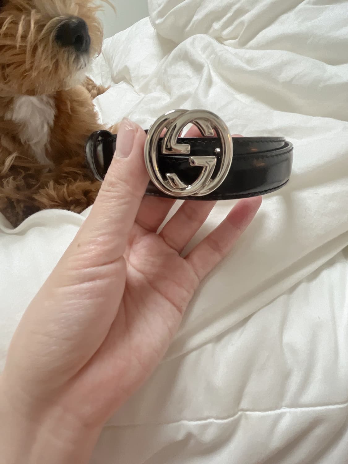 구찌벨트 팔아여 상품이미지2