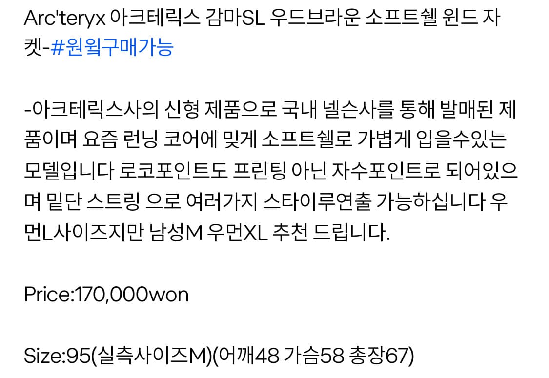 아크테릭스 바람막이 상품이미지7