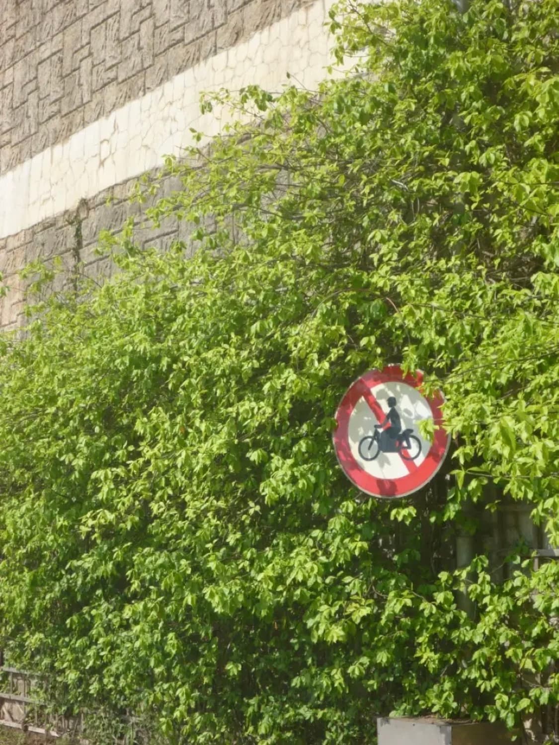 파나소닉 루믹스 DMC-FT2 빈티지디카 디지털카메라 상품이미지4