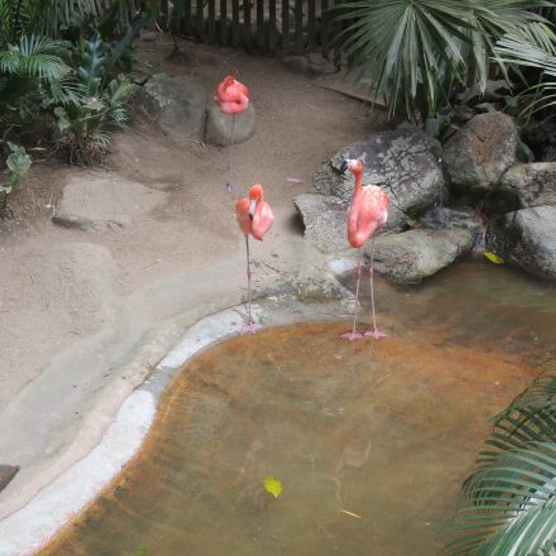 (S급) 캐논 Ixus 160 디카 한글 상품이미지8