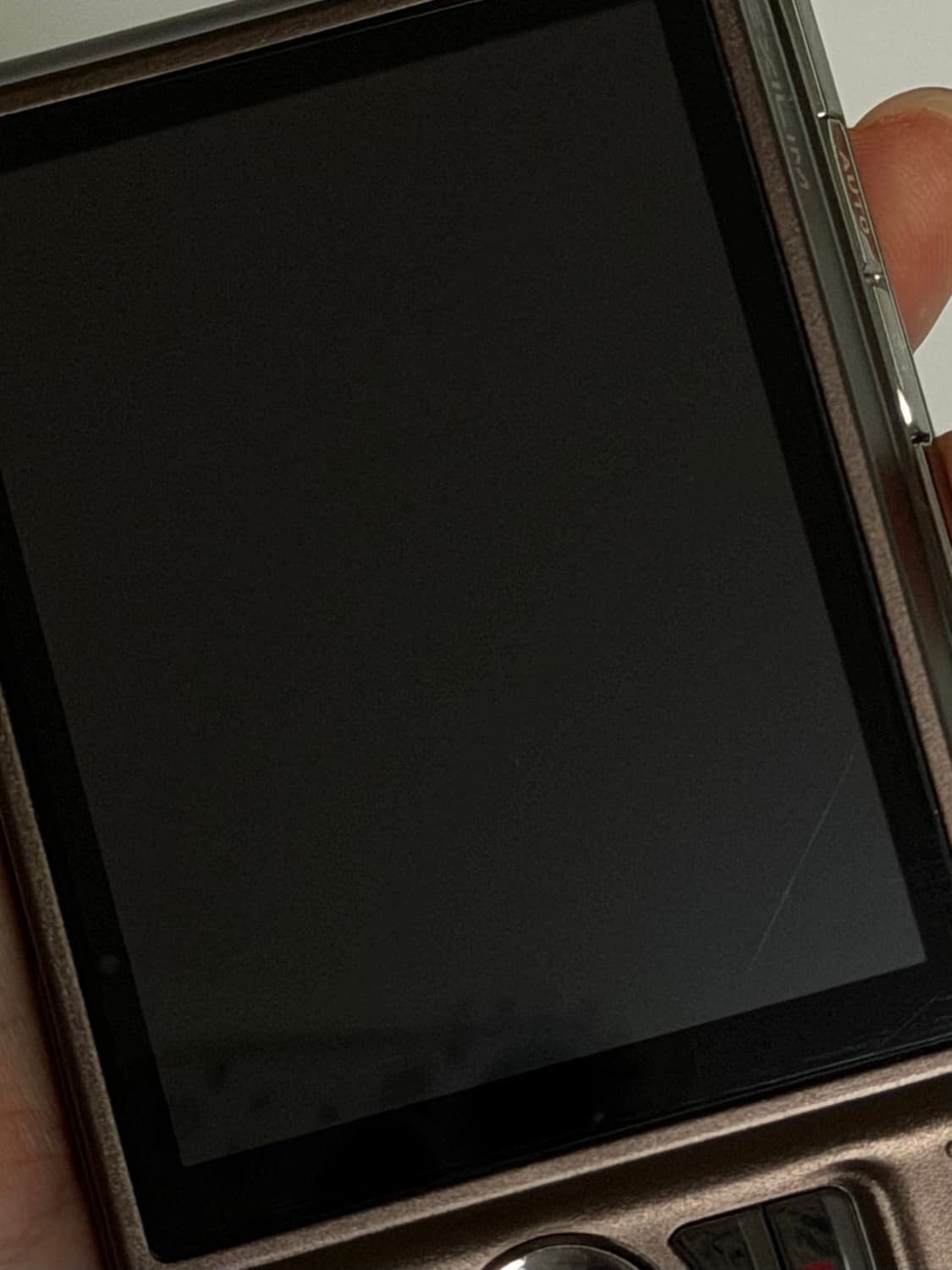 카시오 엑슬림 ex-h15 빈티지디카 상품이미지3