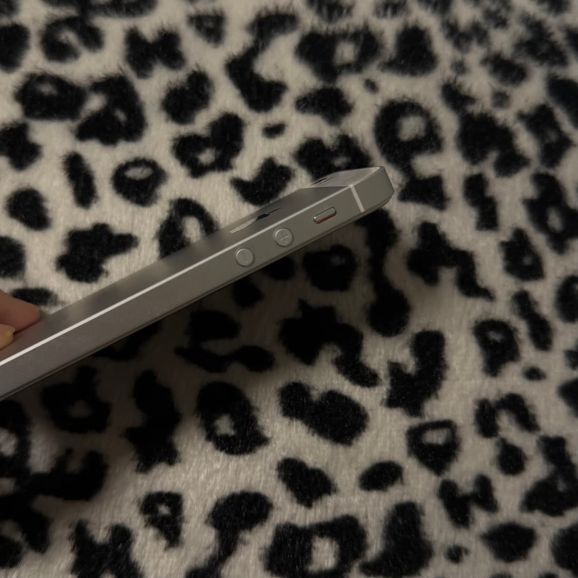 아이폰 SE 실버 상품이미지4