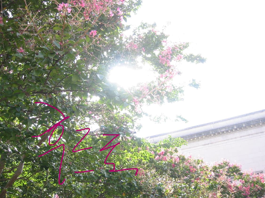 캐논 익서스 IXUS V2 상품이미지9