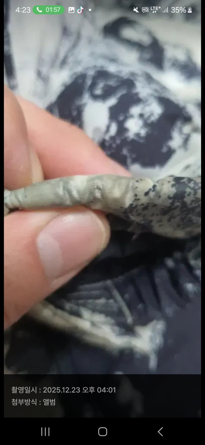 노스페이스 1996 노벨티 눕시 상품이미지4