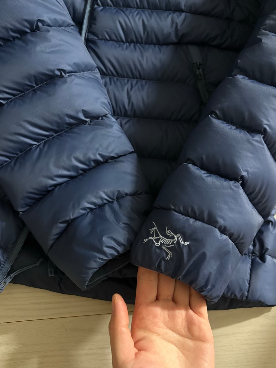 아크테릭스 세륨 후디 우먼 s 상품이미지3