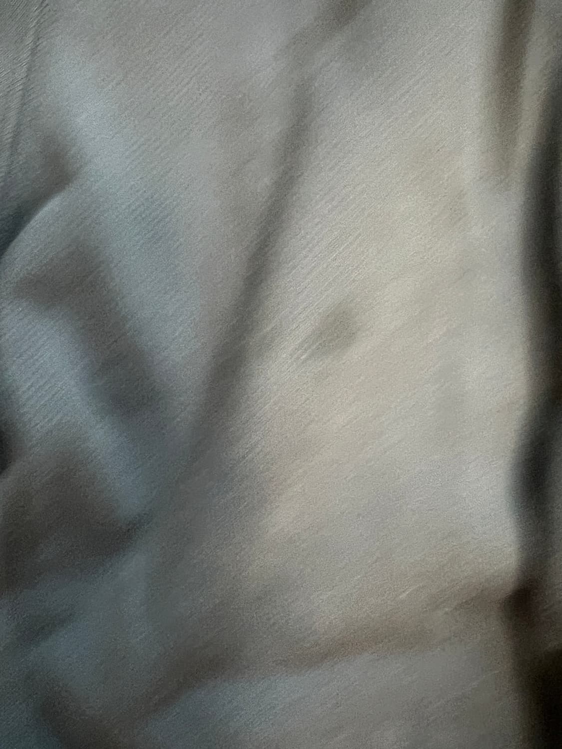 틸던 파라다이스 팬츠 상품이미지3