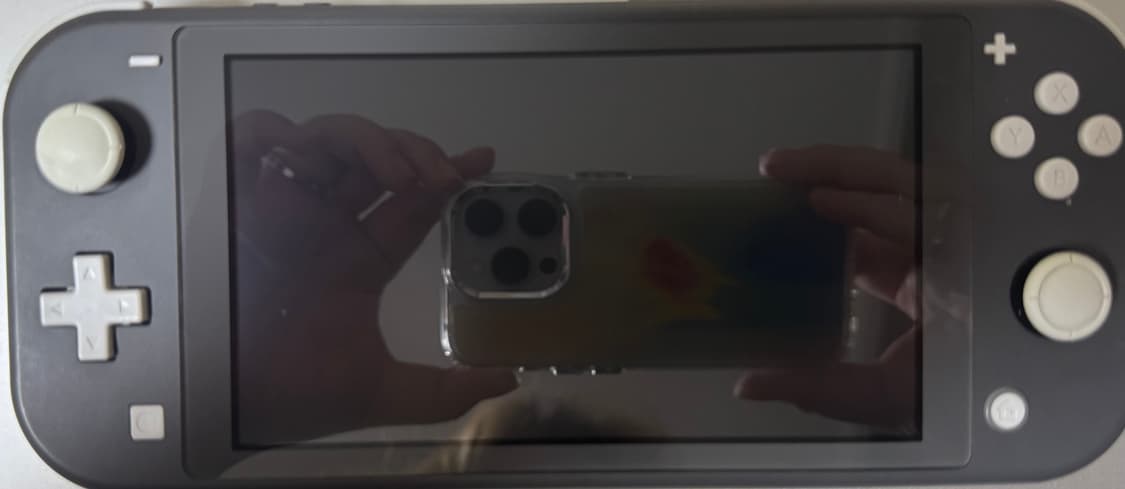 닌텐도 스위치 라이트 그레이 + 모동숲 칩 상품이미지1