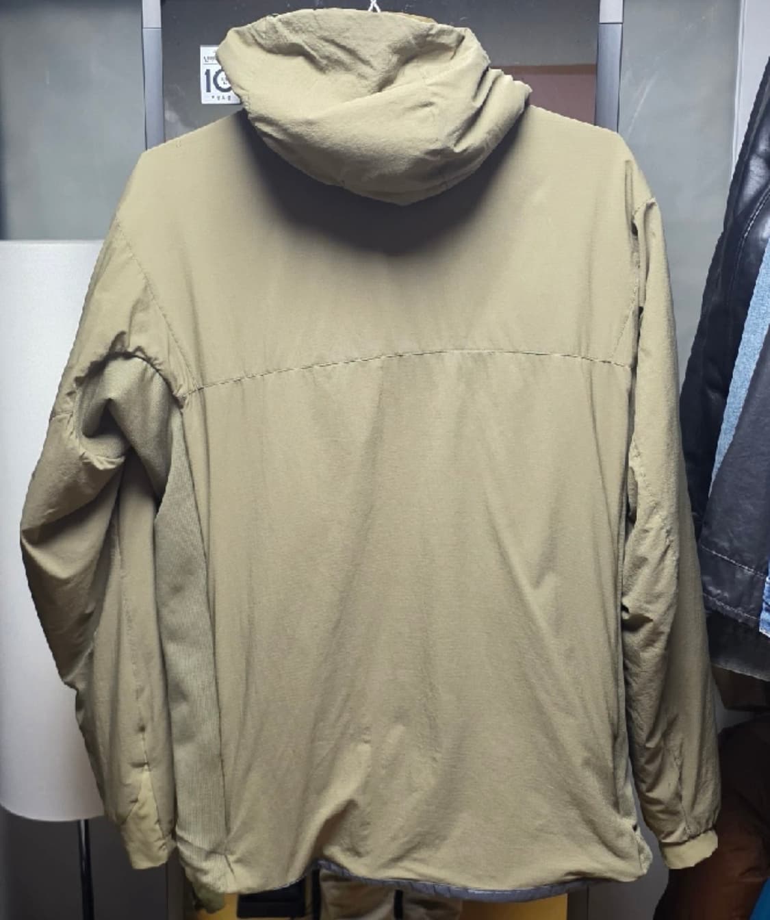 아크테릭스 리프 아톰lt 후디 m 상품이미지5