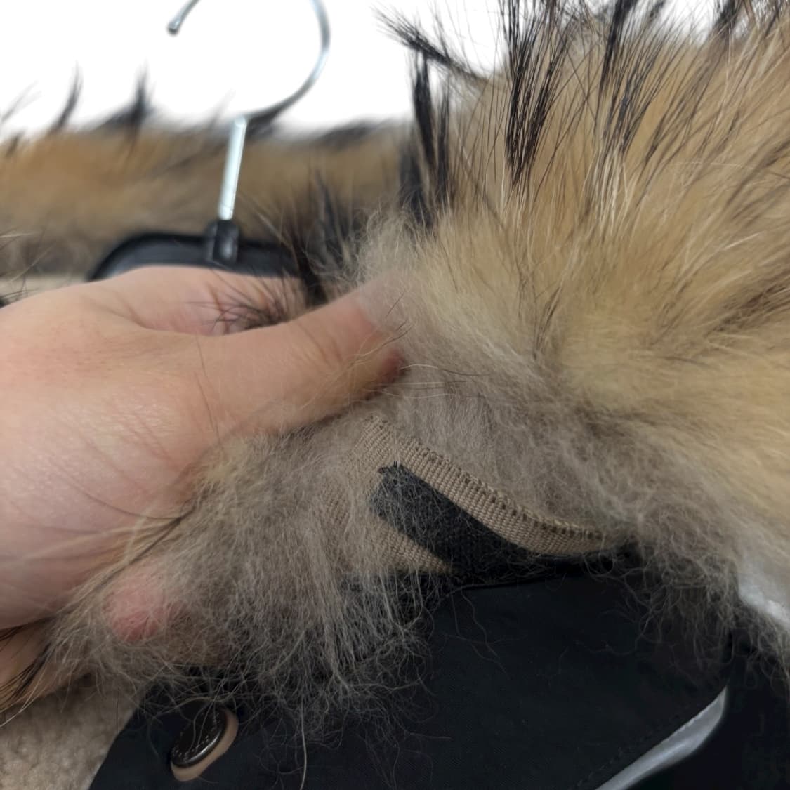 파라점퍼스 고비 다운패딩 상품이미지5