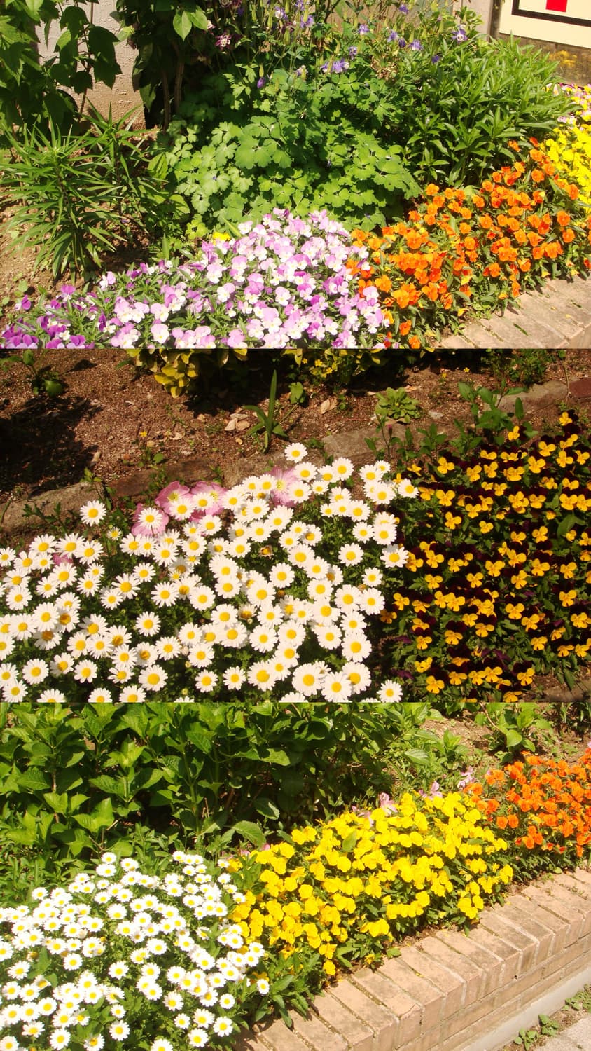 소니 사이버샷 dsc-t100 디카 판매합니다! 상품이미지8