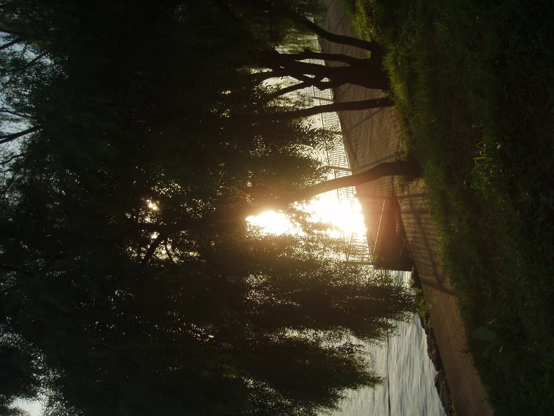 올림푸스 뮤 미니 핑크 상품이미지8