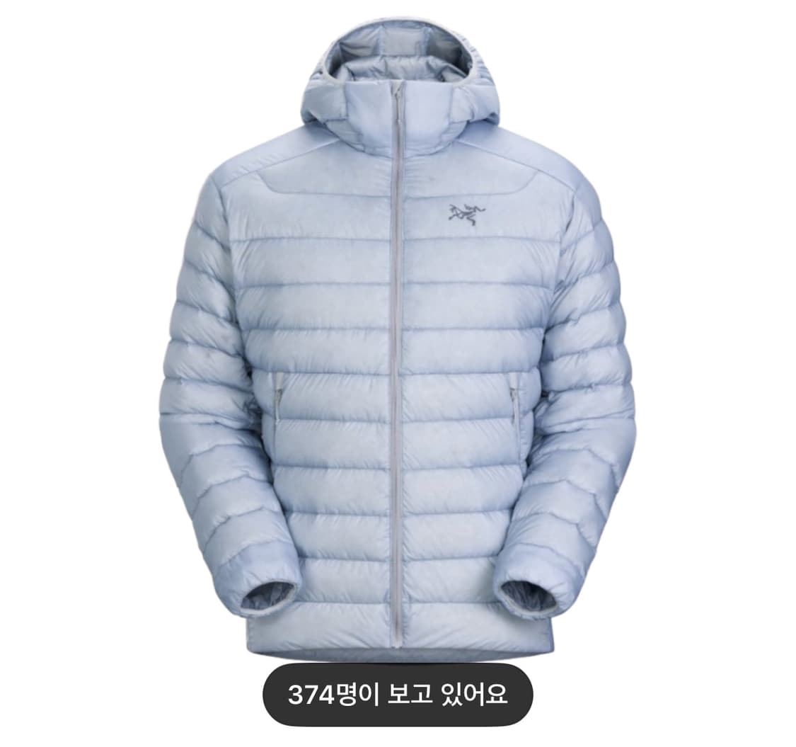 아크테릭스 세륨 후디 루센트 상품이미지1