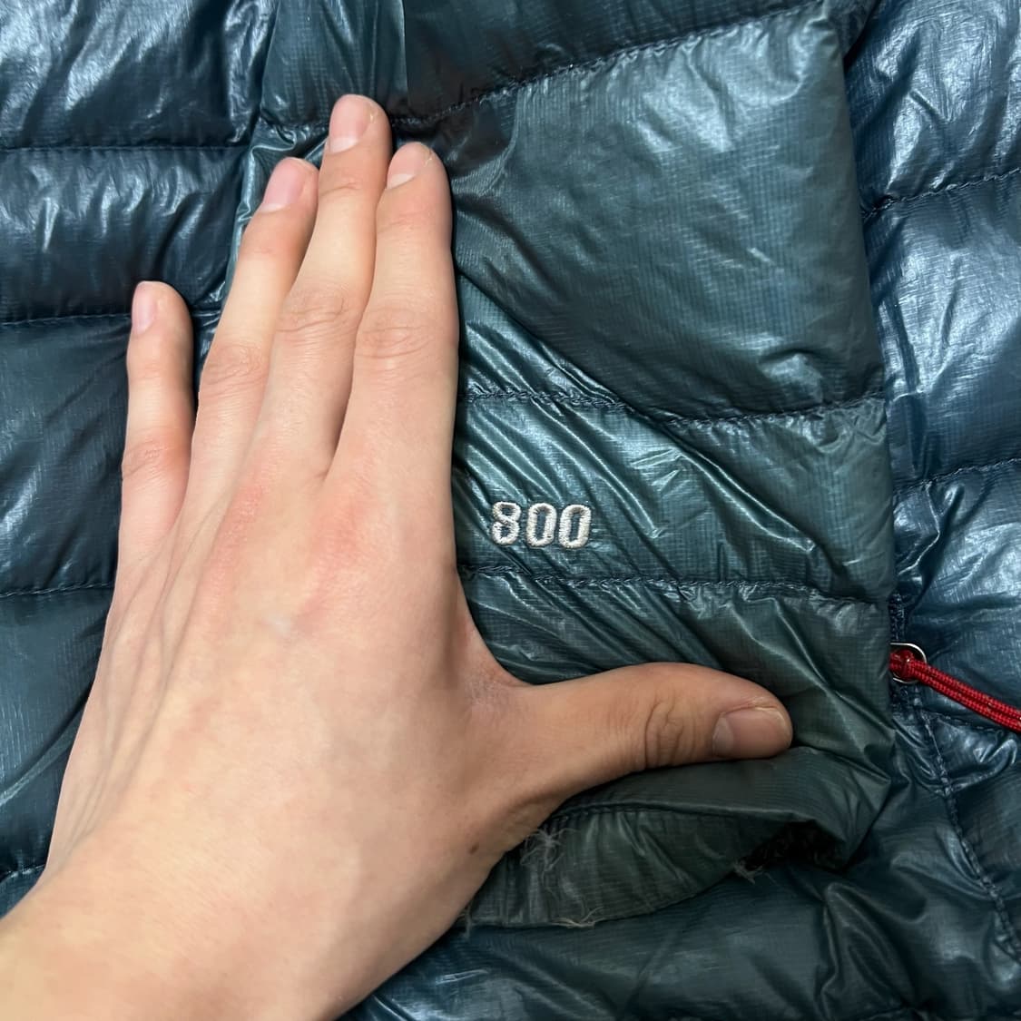 노스페이스 써밋시리즈 구스다운 800 경량패딩 L/100  상품이미지6