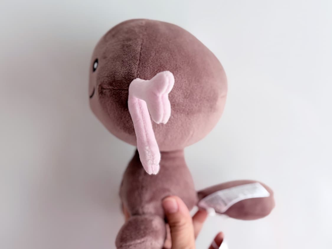 일본 포켓몬센터 오리지날 팔데아 우파 봉제인형 상품이미지7