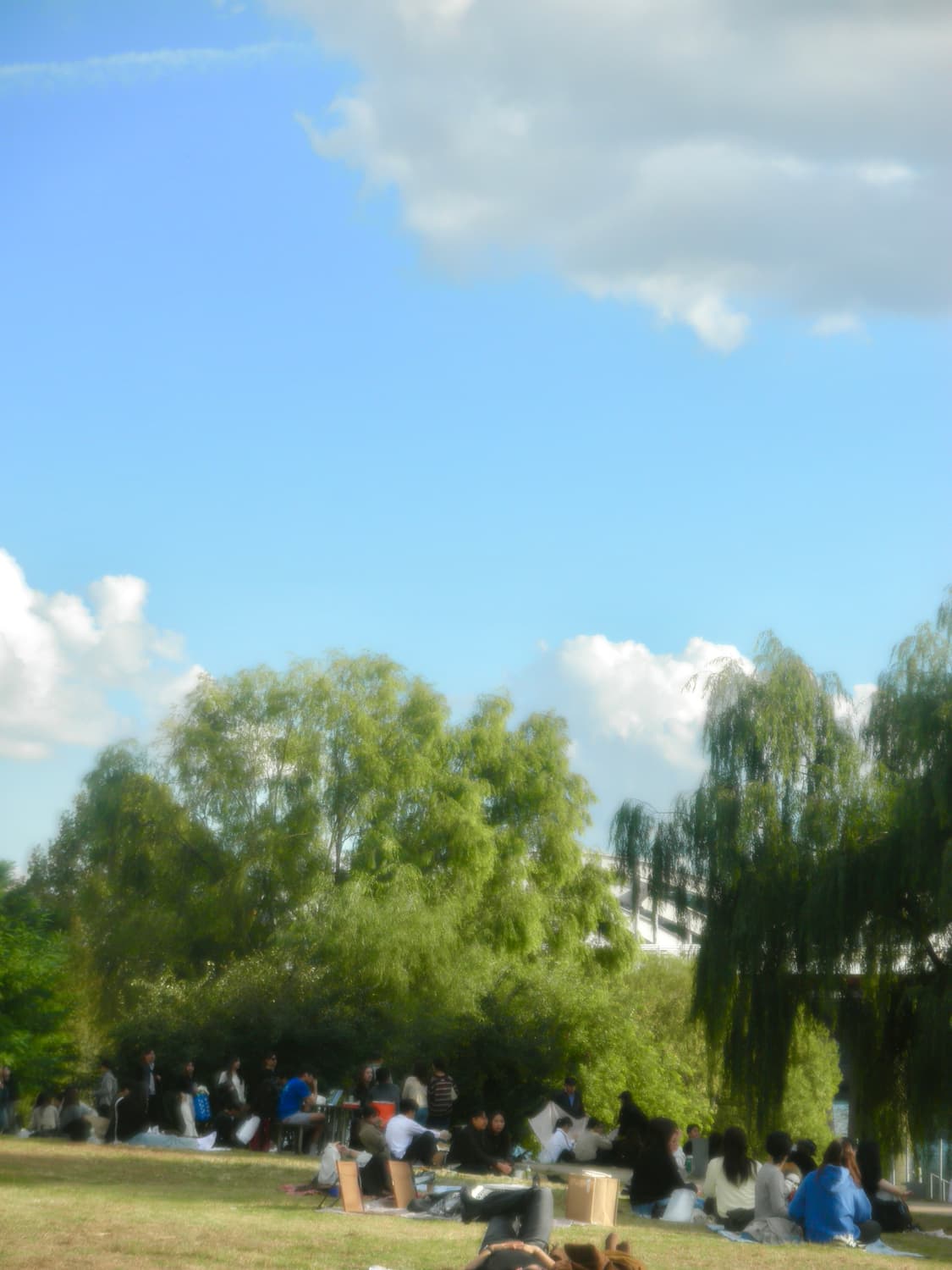 소프트포커스&희귀!) Olympus VH-410 디카 카메라 상품이미지6