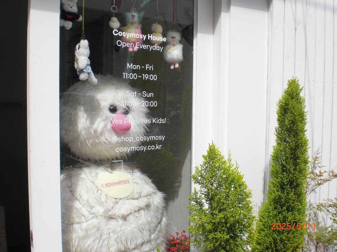 카시오 엑슬림 exilim ex-z85 디지털카메라 빈티지디카 상품이미지2