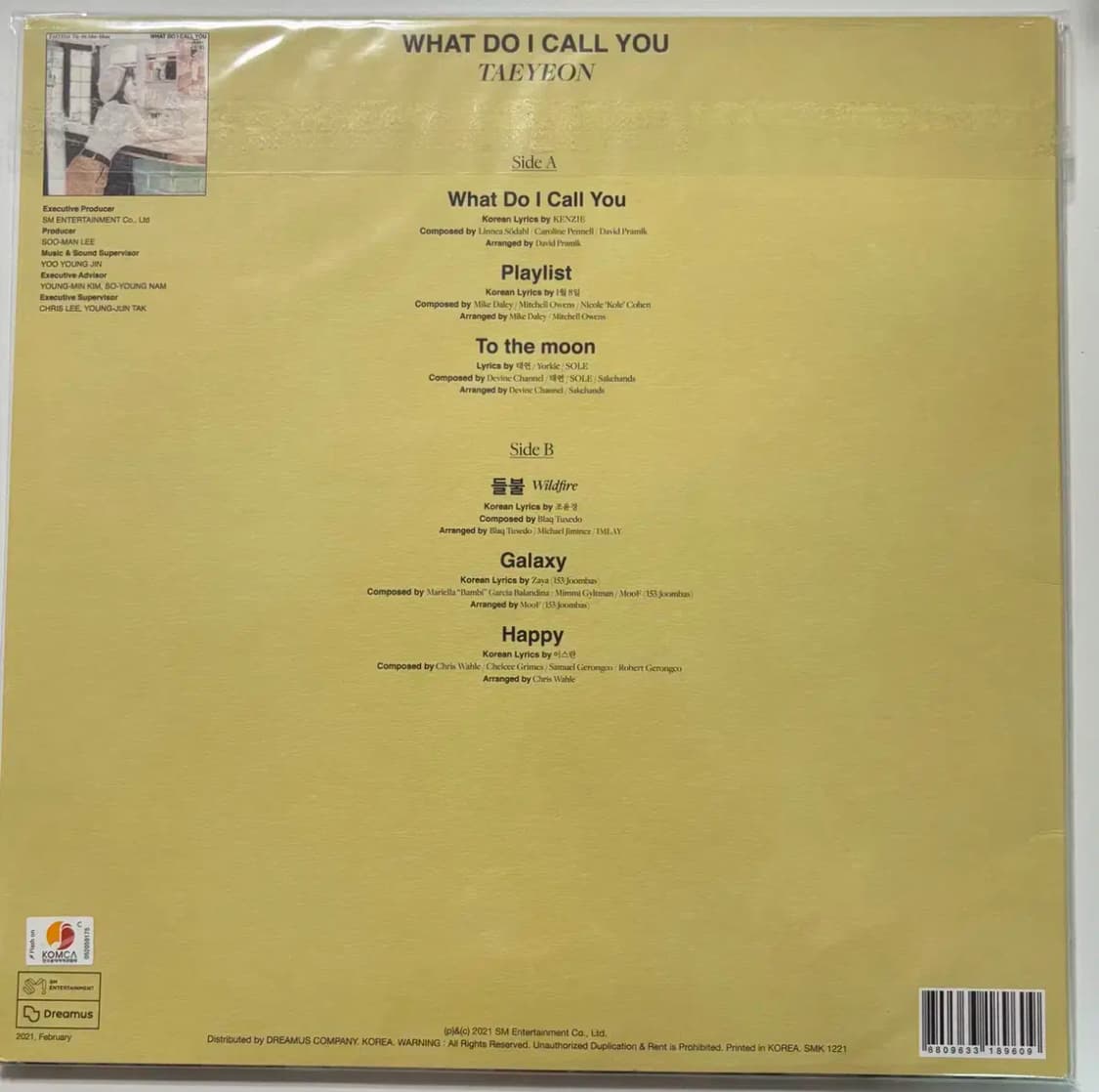 태연 WHAT DO I CALL YOU 개봉 엘피 LP 상품이미지4