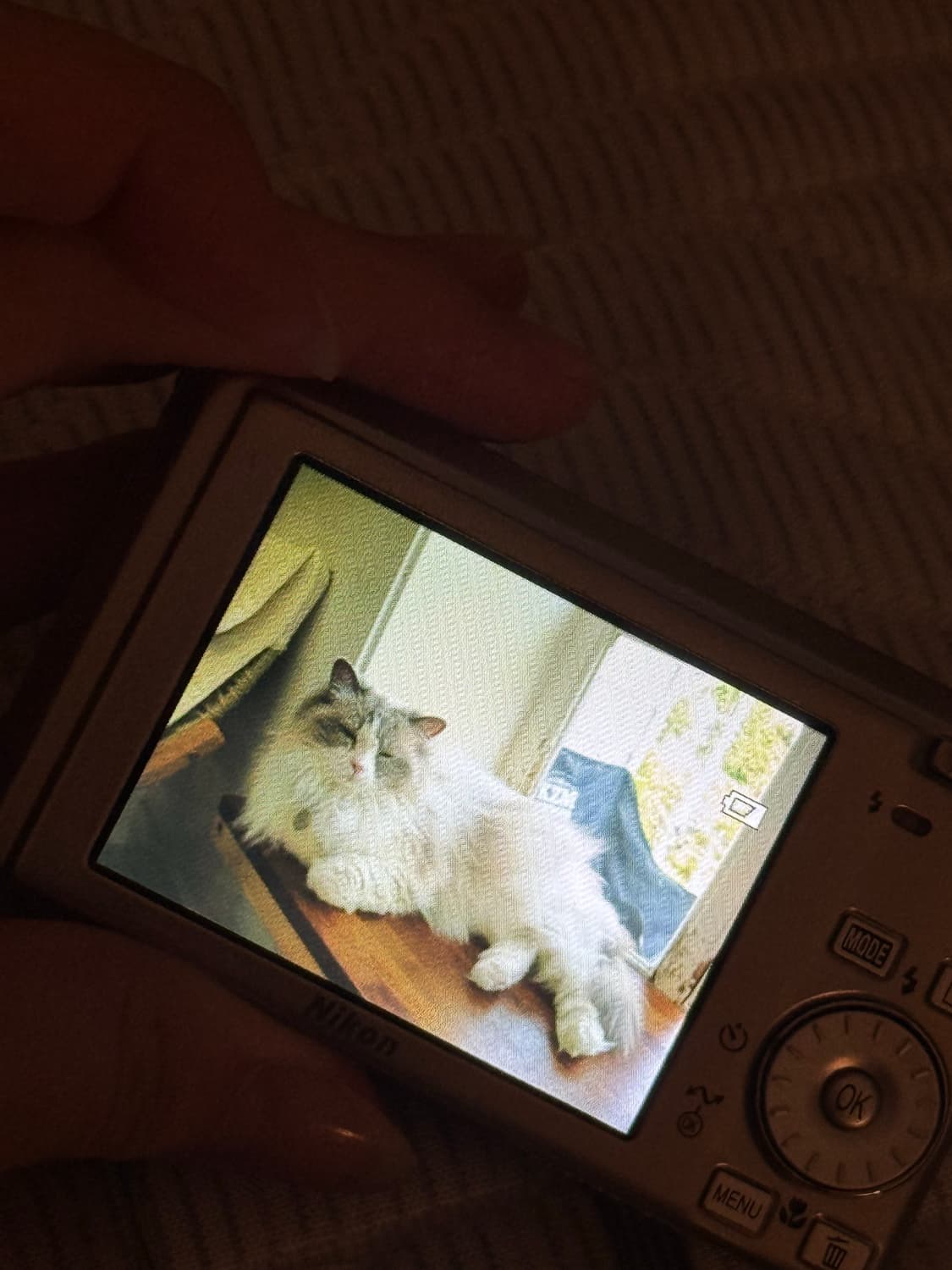 [ 최 저 가 ]니콘 쿨픽스 nikon coolpix s500 디카 상품이미지1