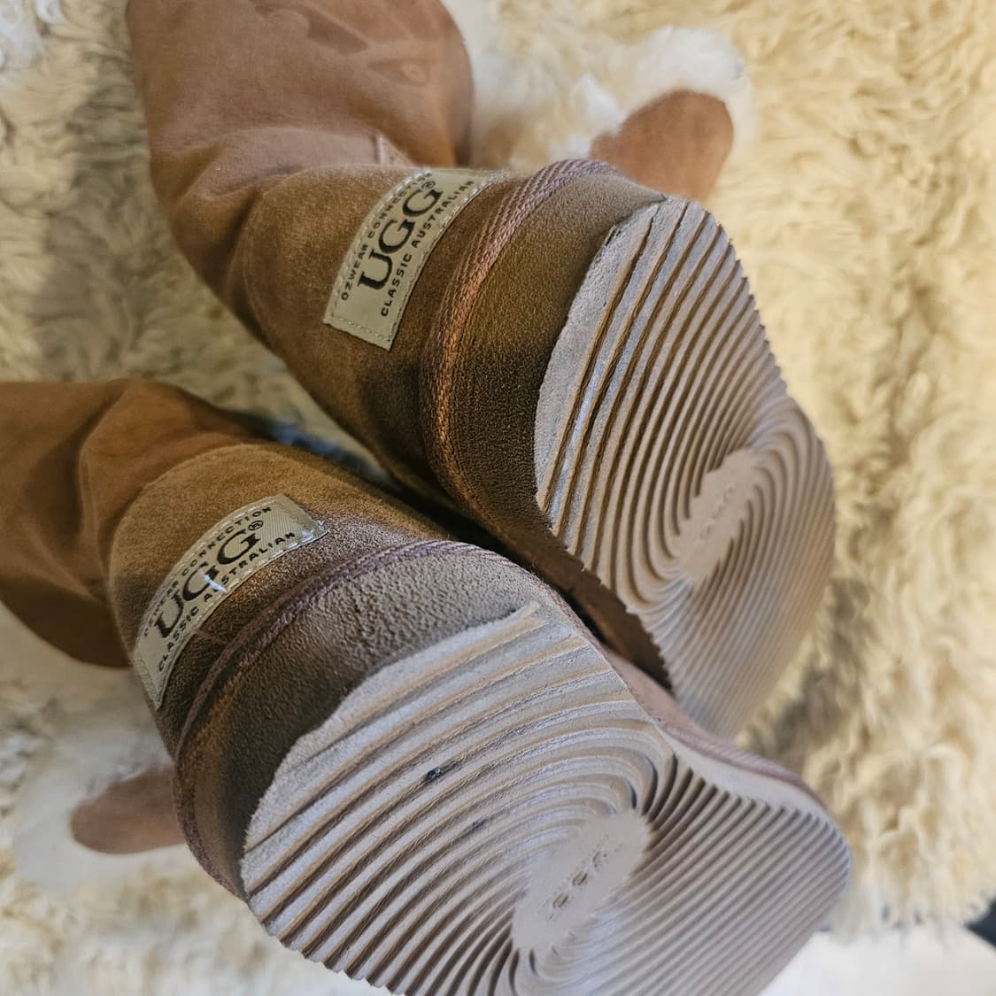 210 어그 ugg 상품이미지4