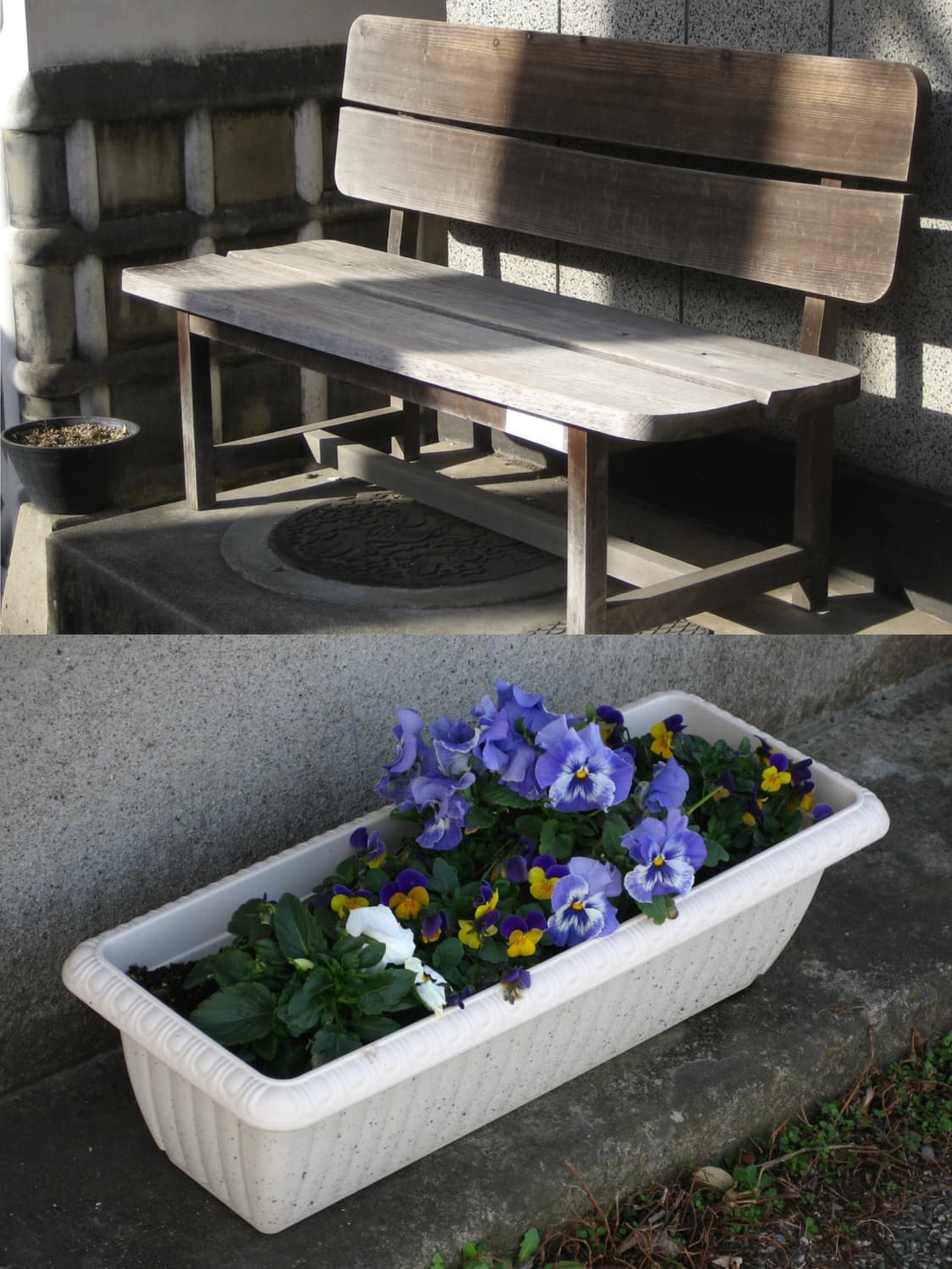 캐논 익서스60 ixus60 익시70 ixy70 (한국어판, 작례 O) 상품이미지8