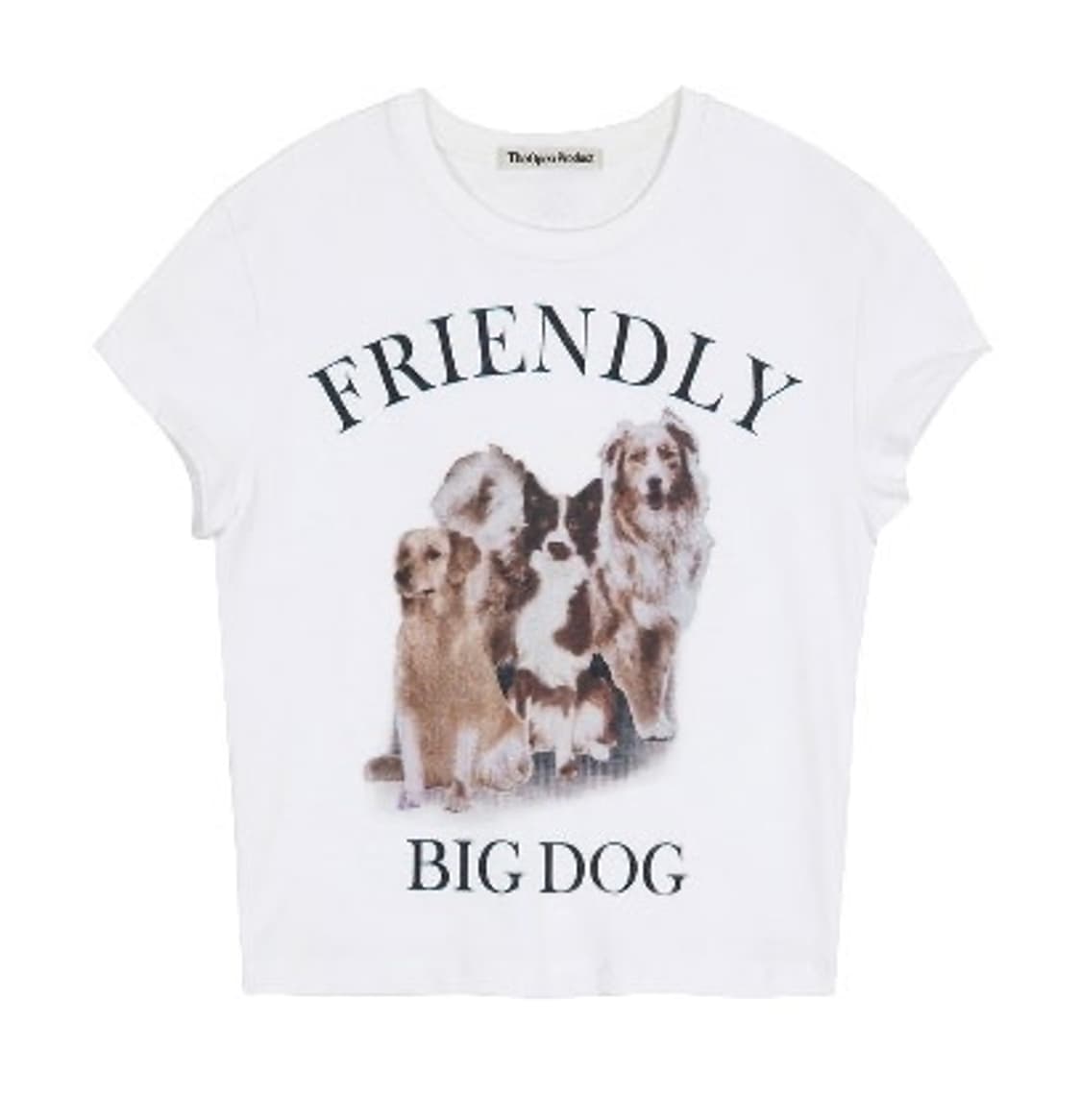 Theopen Product 더오픈프로덕트 빅도그 big dog 크롭티 상품이미지4