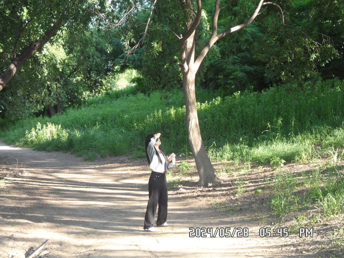 삼성 MV800 미러팝 디지털 카메라 화이트 한효주 디카 상품이미지8