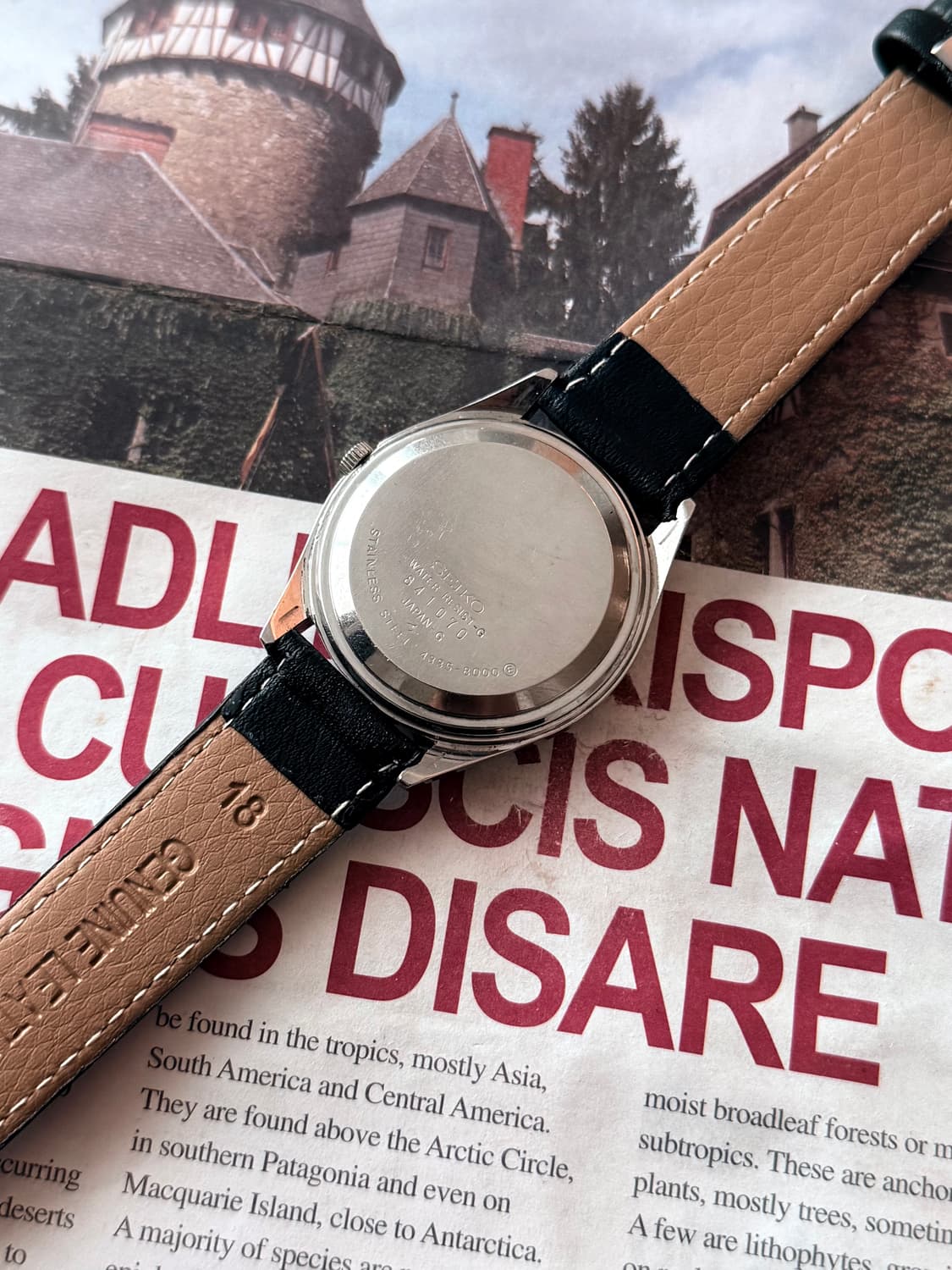 세이코 Seiko 쿼츠 타입 2 아라비안  상품이미지3