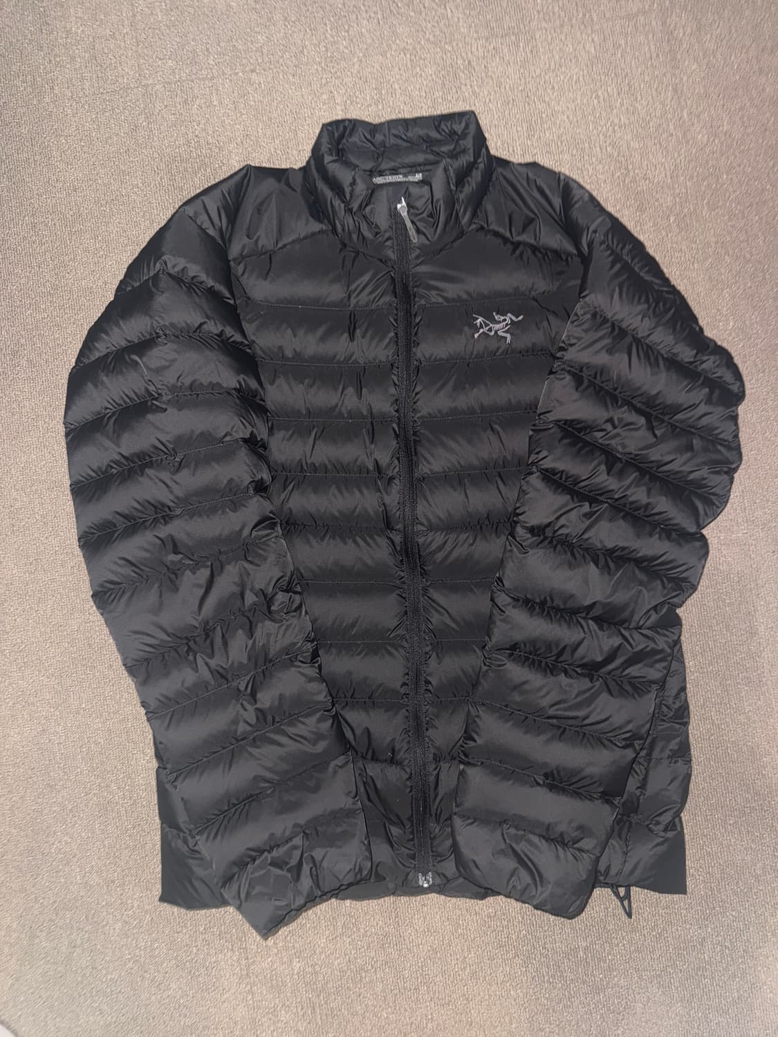 아크테릭스 세륨 논후디 블랙 S 상품이미지1