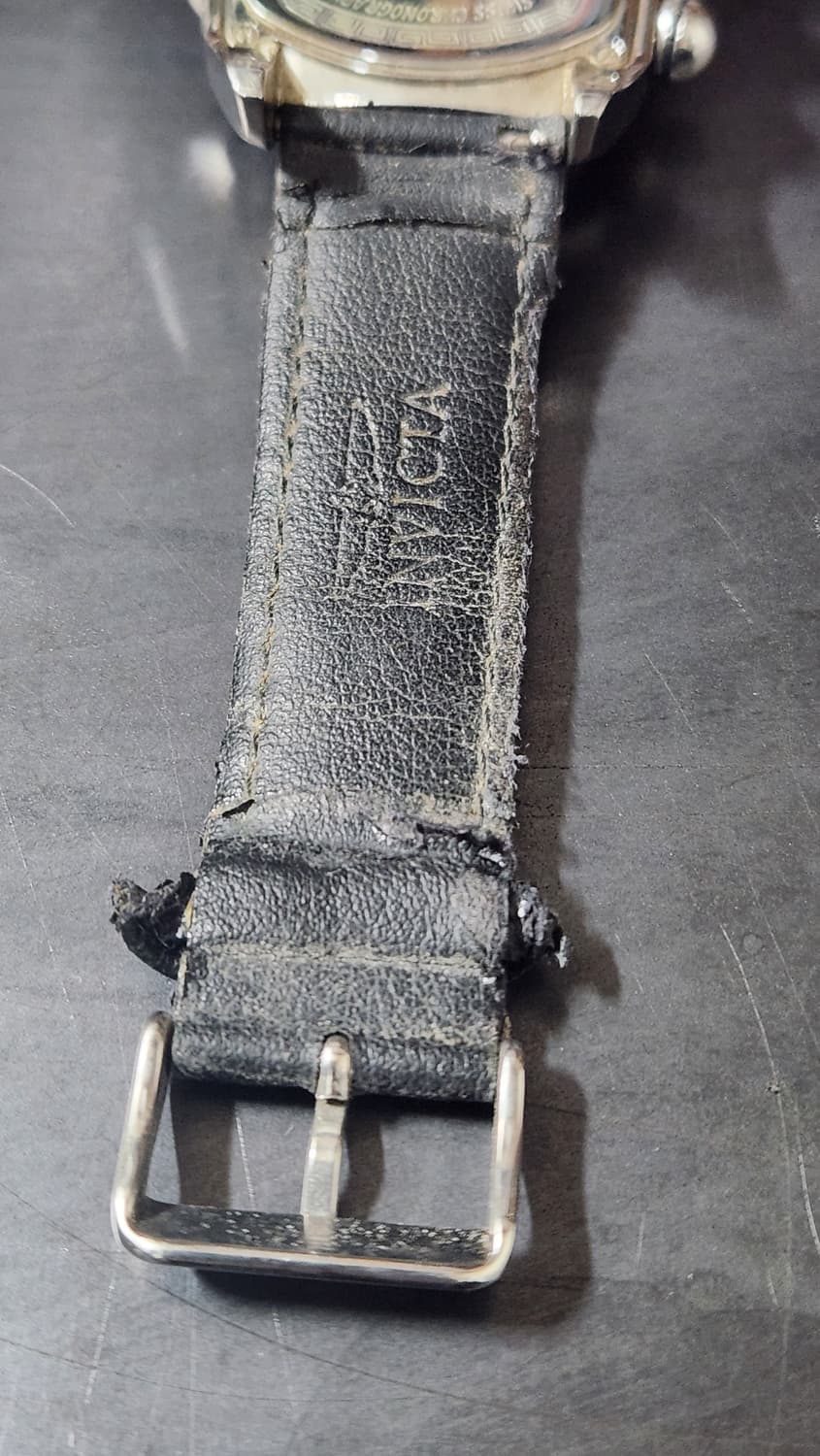 인빅타 드래곤루파(Invicta Dragon Lupah) 상품이미지8