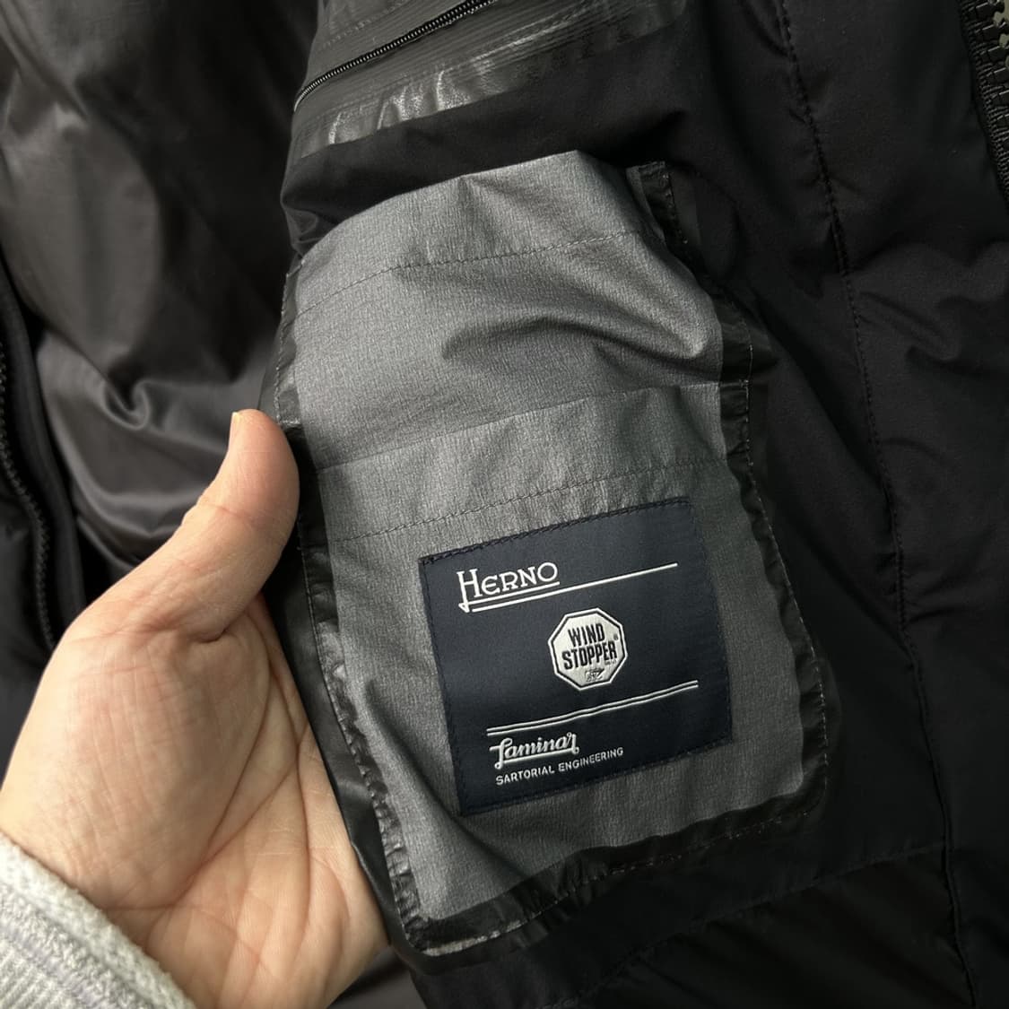 15909 - 에르노 라미나르 윈드스토퍼 패딩 자켓 상품이미지6