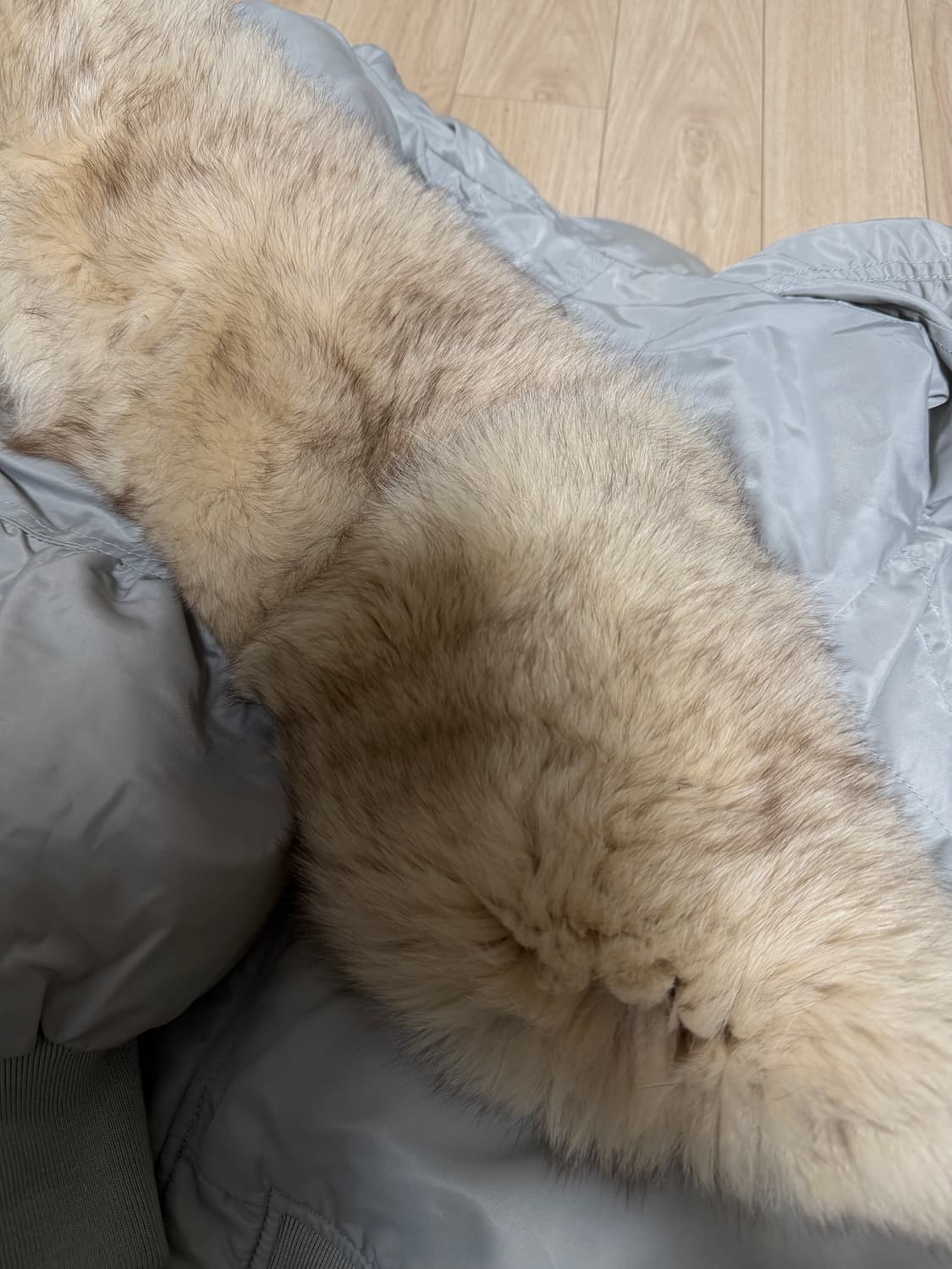 리얼폭스 구스다운 덕다운 패딩 상품이미지3