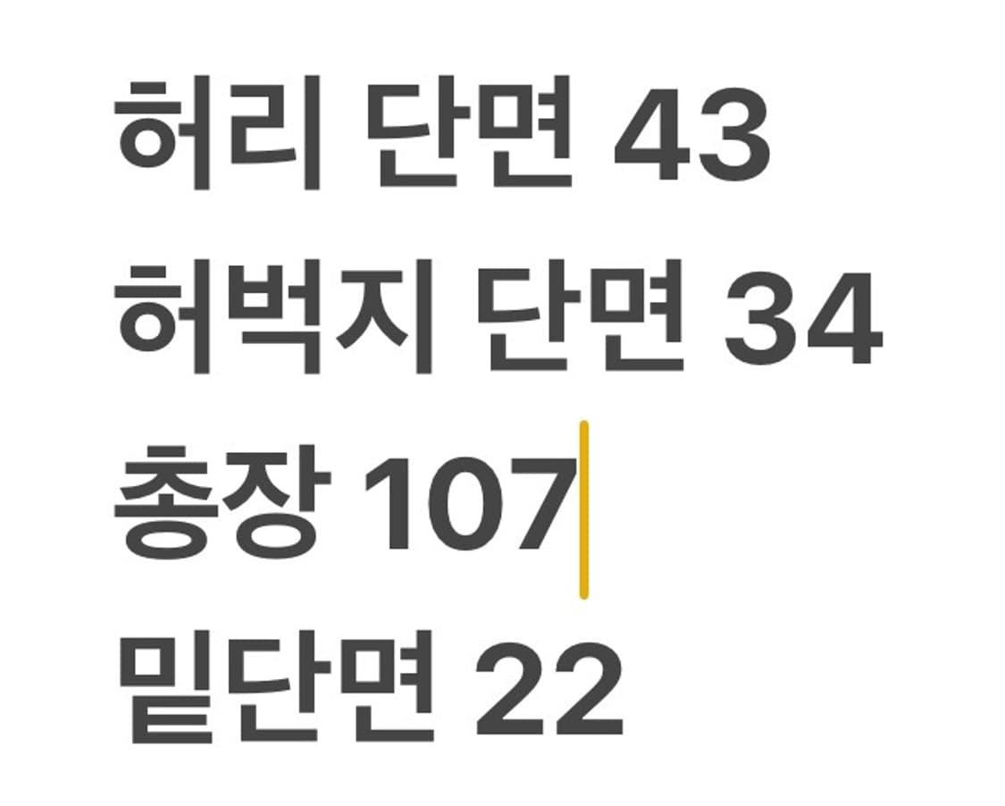 [정품] 폴로 랄프로렌 치노팬츠 그레이 b10 상품이미지7