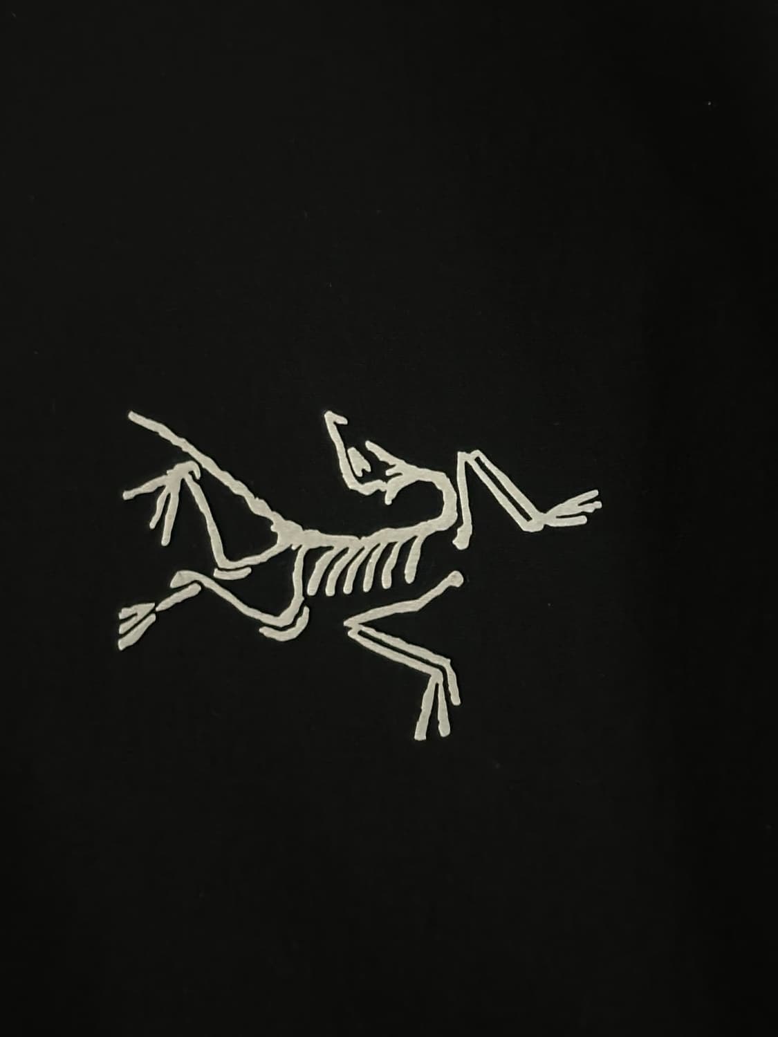 아크테릭스 아크로플 자켓 블랙 M 상품이미지2