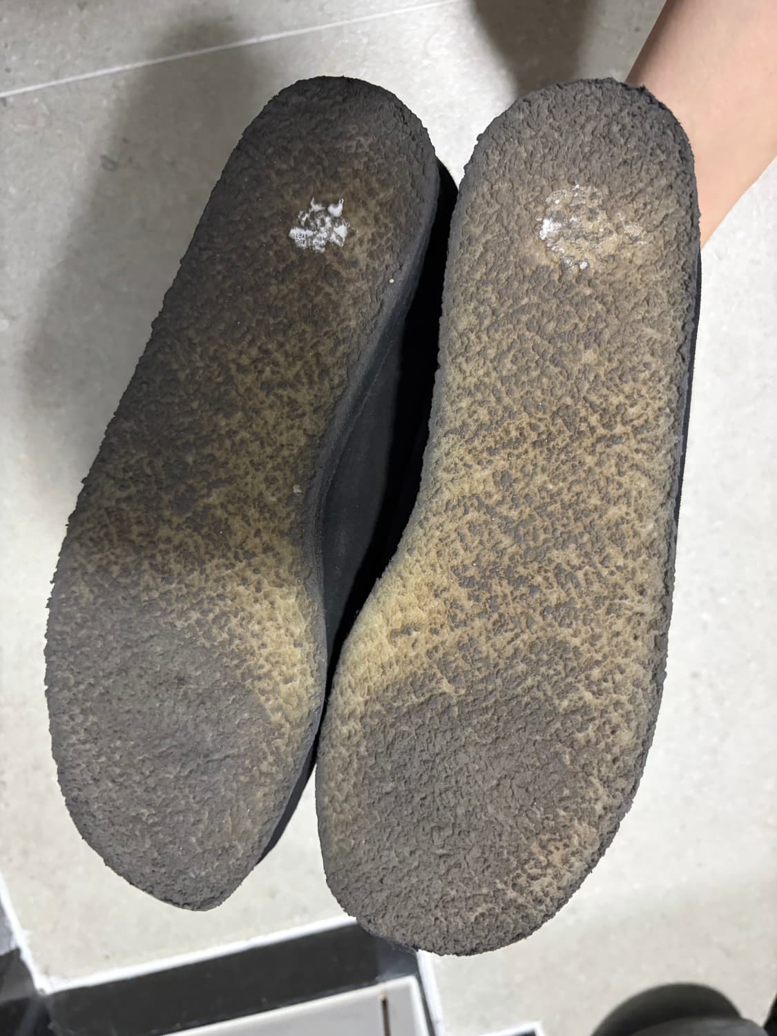 왈라비 상품이미지4