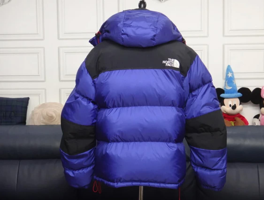 (M/95) 노스페이스 윈드스토퍼 써밋 700필 구스 점퍼 상품이미지2