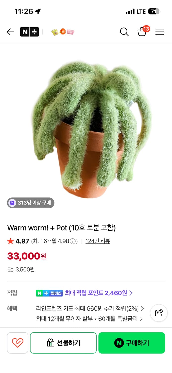 클럽비비 펠트 식물 상품이미지7