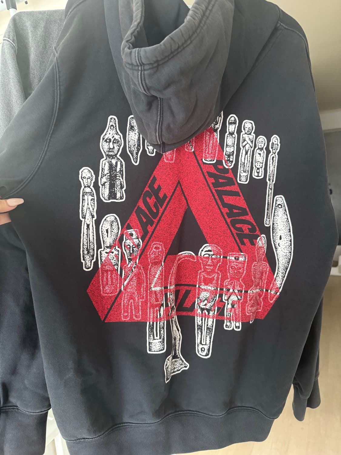 팔라스 후드티 상품이미지1