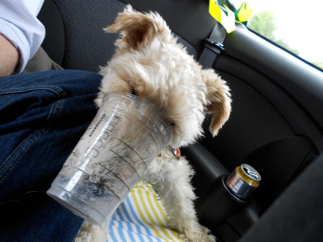 (색감/감성) 니콘 쿨픽스 Nikon Coolpix S3100 상품이미지9