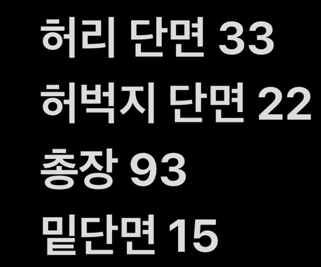 [ 정품/3 ] WAAC 구스다운 퀄팅 팬츠 b10 상품이미지6