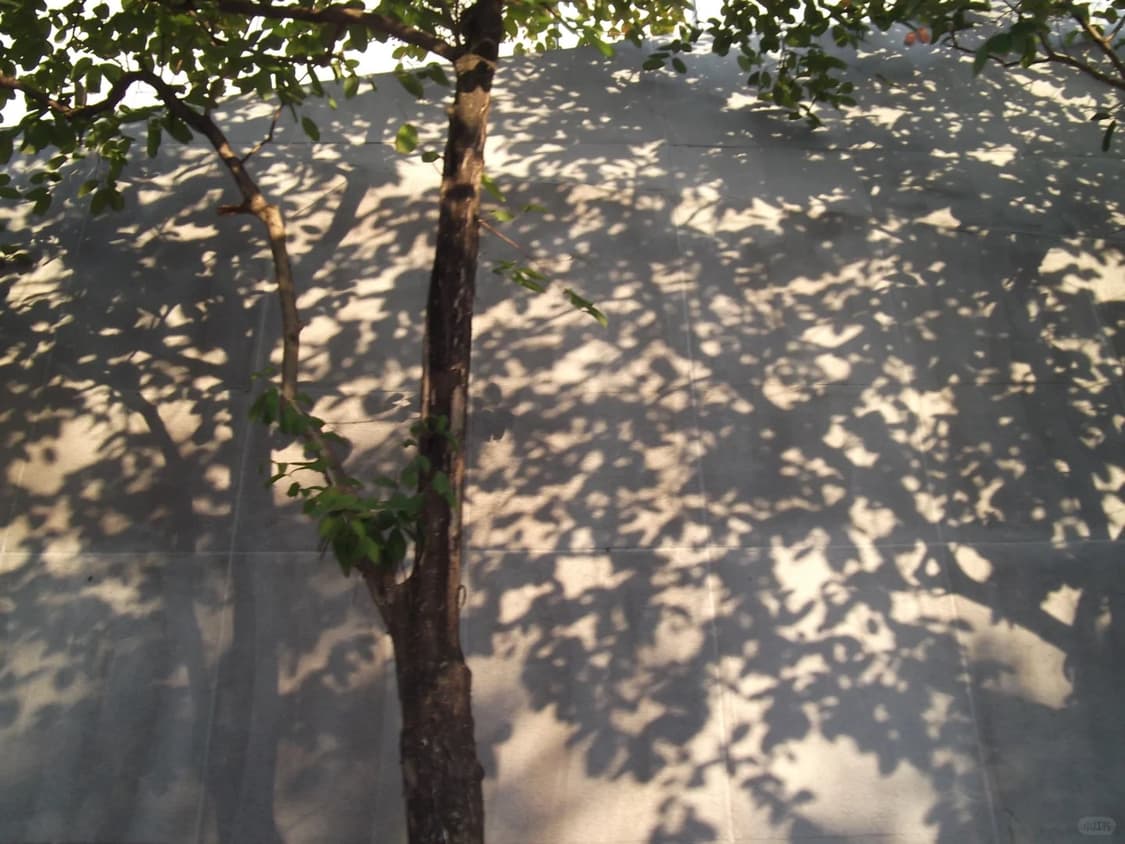 후지필름 파인픽스 JX280 상품이미지8