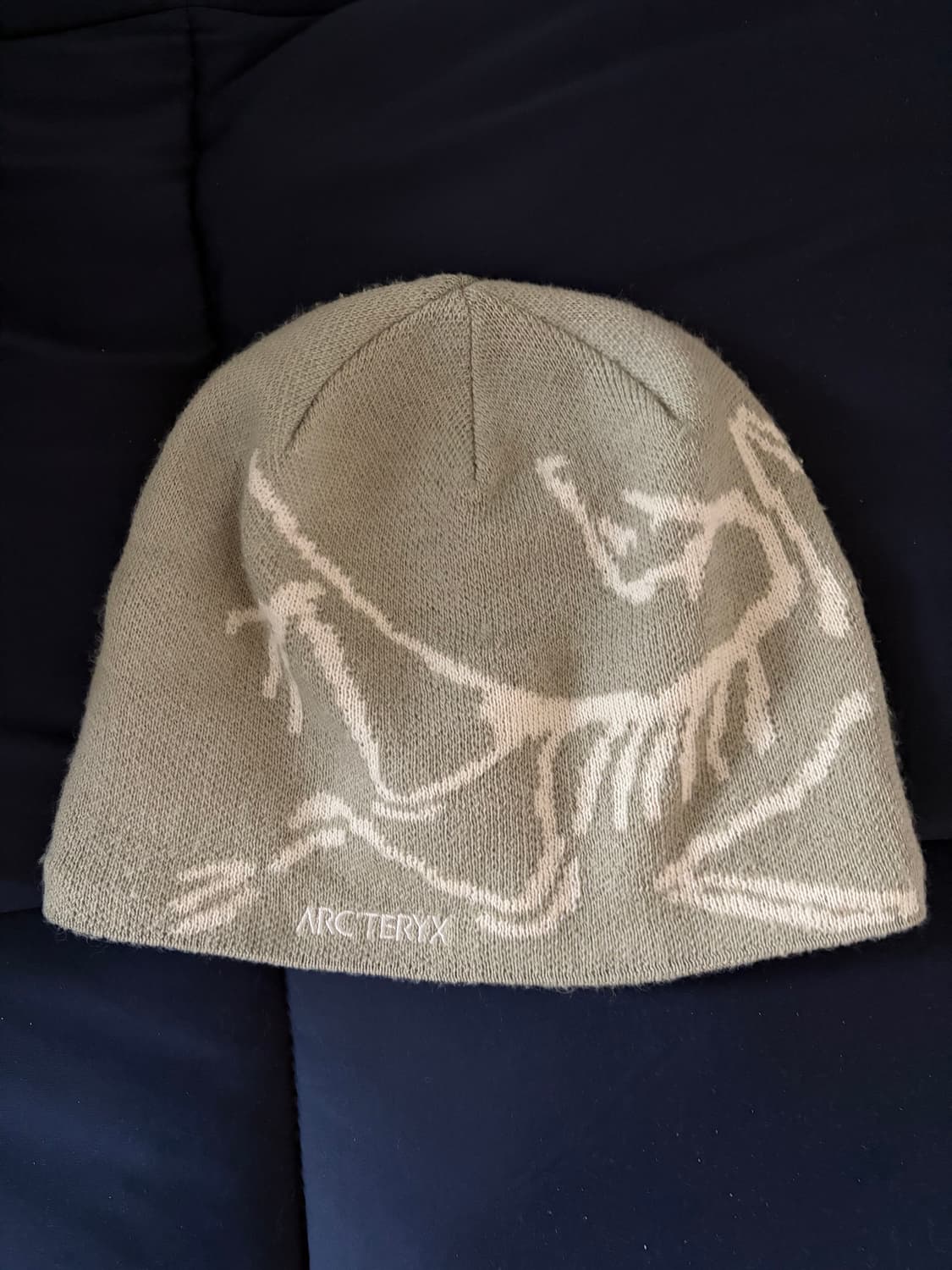 아크테릭스 비니 상품이미지2