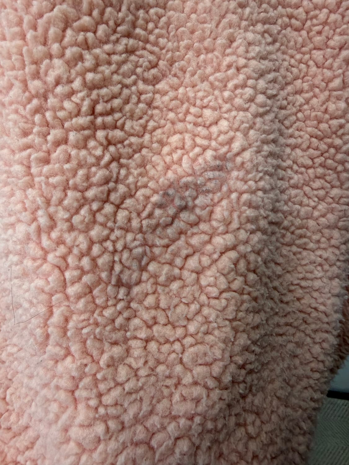 정품) 내셔널지오그래픽 뽀글이 후리스 XS 상품이미지6