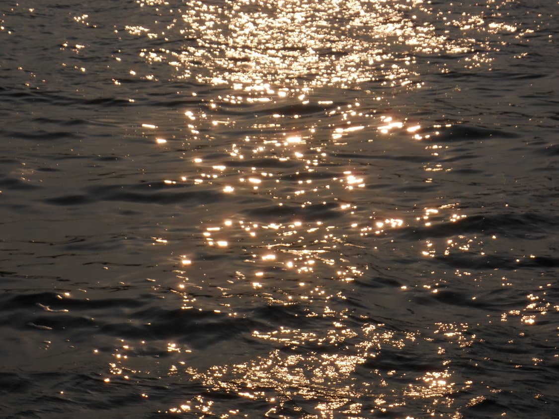 필름색감&입문!) Nikon CoolPix S1 디카 카메라 상품이미지5