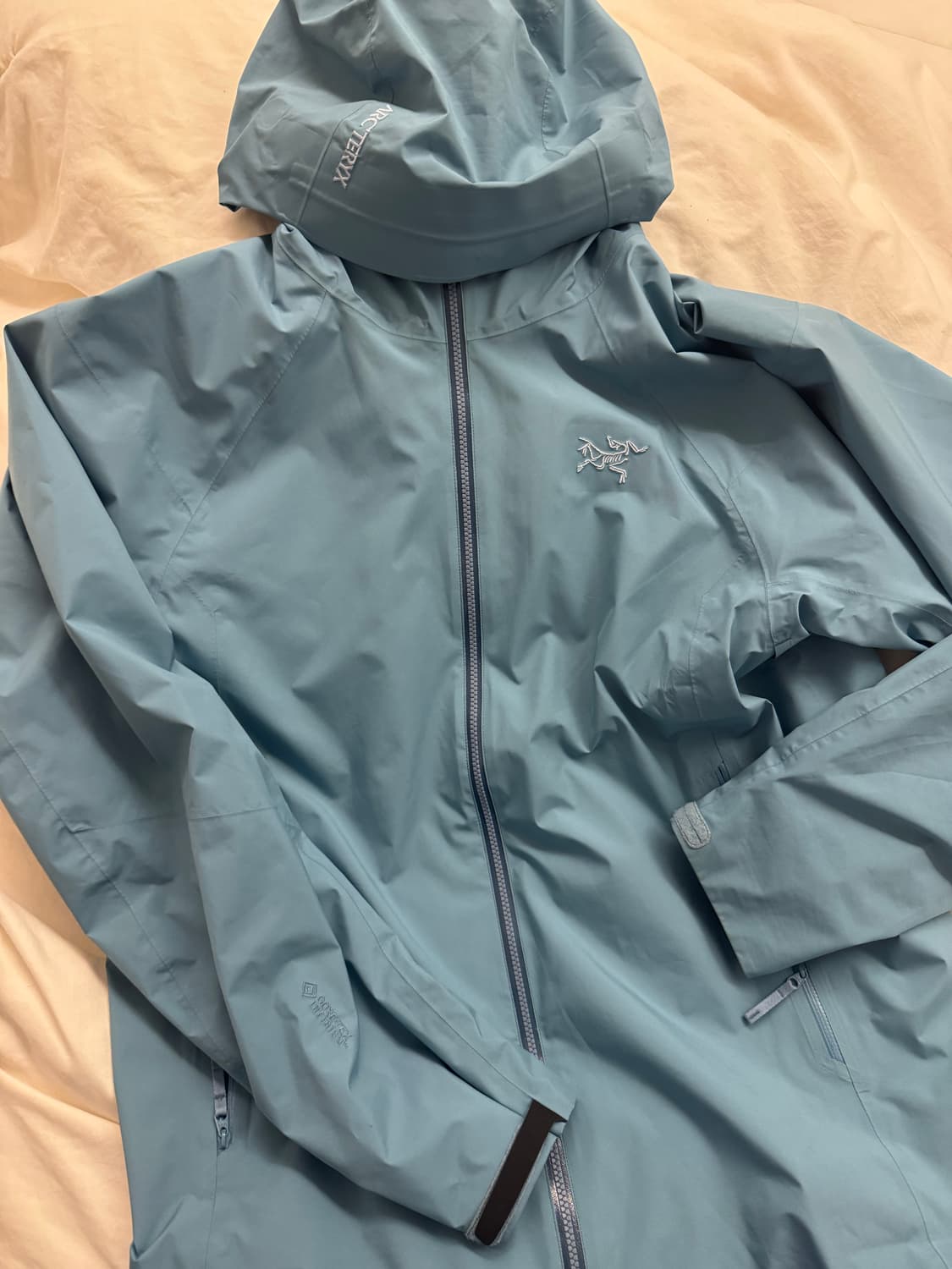 아크테릭스 카딘 후디 솔레스 L 상품이미지2