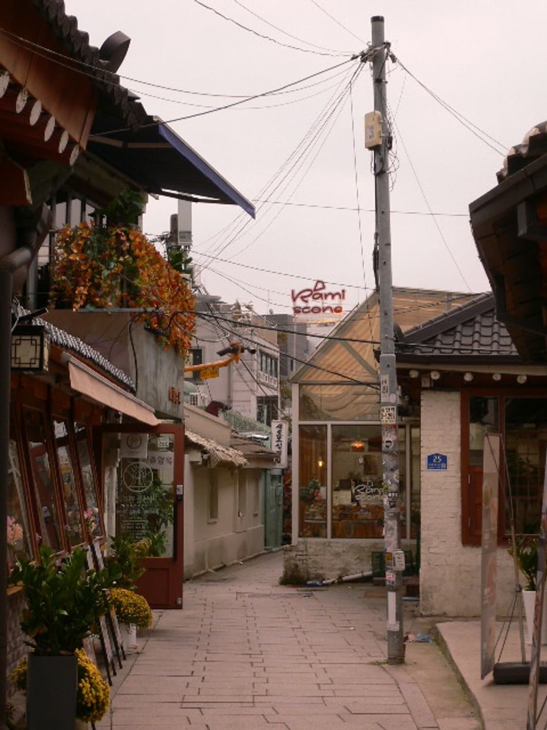 파나소닉 루믹스 Lumix DMC-FX7 (작례o) 상품이미지10