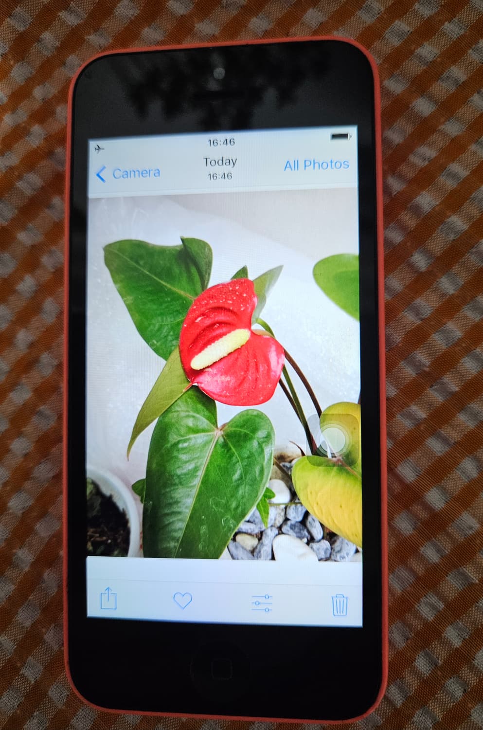 아이폰 5c  상품이미지7