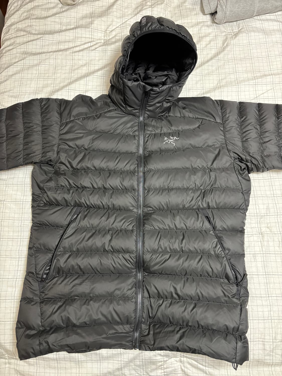 아크테릭스 세륨 후디 블랙 L 상품이미지2