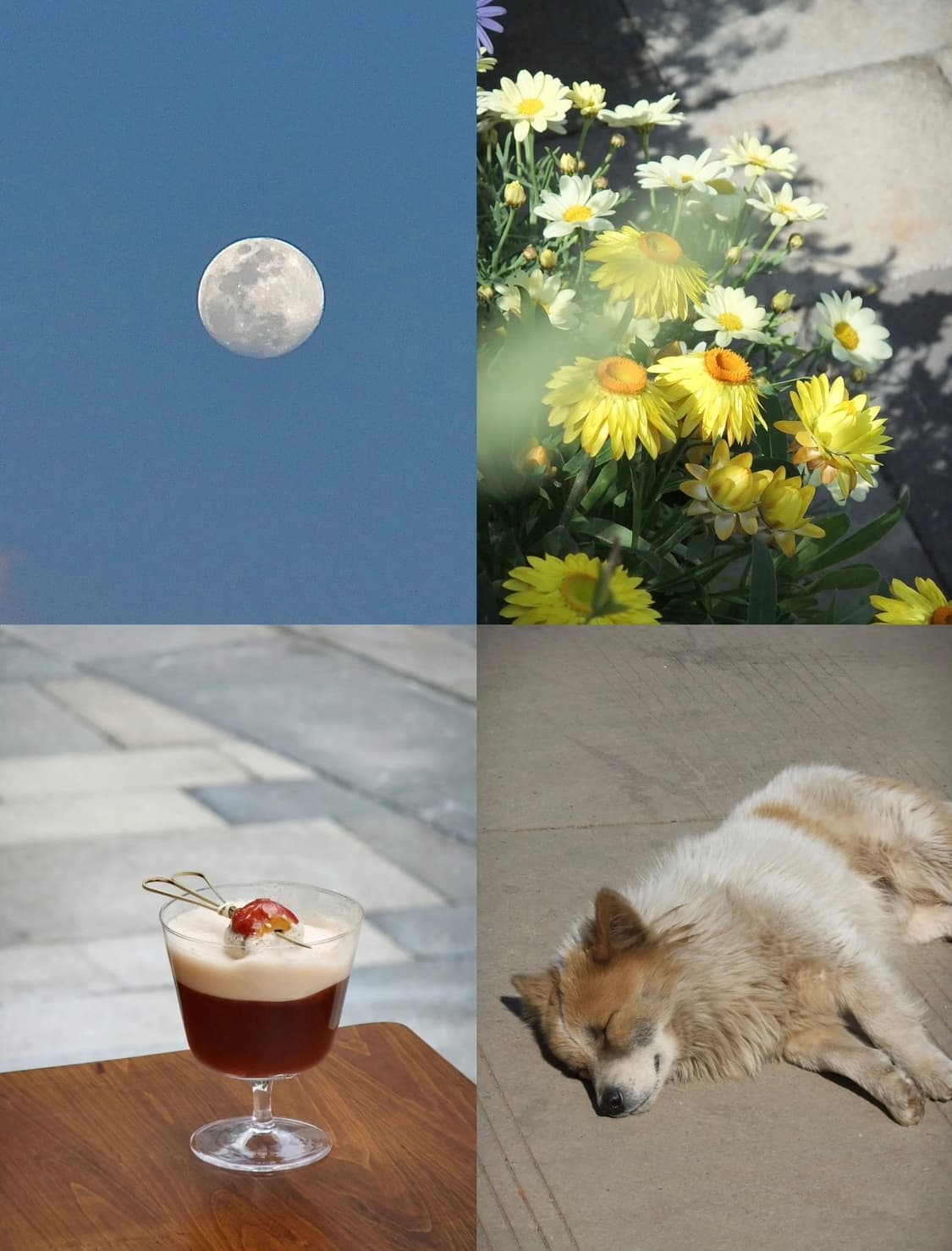 후지필름 파인픽스 F80 FUJIFILM FINEPIX F80 빈티지디카 상품이미지2